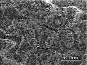 The SEM image of nanowire arrays in AAM or AAO
